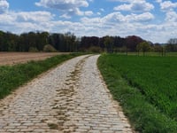 Manshoven da Sassenbroek