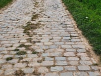 Manshoven da Sassenbroek