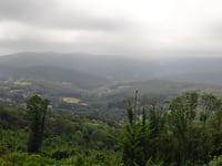 Maquis Socrate von Montée de Bussy