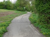 Marie-Juchacz-Strasse über Thiergartenstrasse