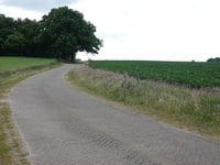 Markelose Berg von Langeweg