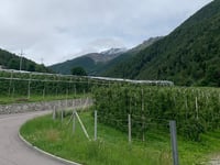 Martelltal da Goldrain / Coldrano