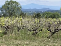 Mas de Cristol von La Bégude