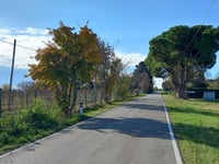 Massa von Vecchiazzano