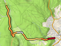 Masselkopf von Lossburg