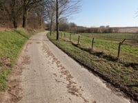 Mathieu van der Poel Allee