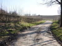 Mathieu van der Poel Allee