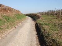 Mathieu van der Poel Allee