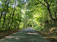 Mauhin przez Bois de Mauhin
