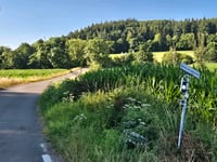 Mauhin przez Bois de Mauhin