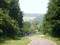 Maximiner Wald von Mannebach