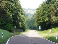 Maximiner Wald von Mannebach