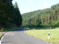 Maximiner Wald von Saarburg