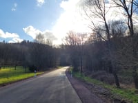 Maximiner Wald da Tobiashaus