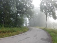 Maximiner Wald da Tobiashaus