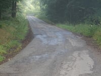 Maximiner Wald da Tobiashaus