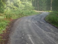 Maximiner Wald da Tobiashaus