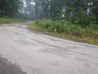 Maximiner Wald da Tobiashaus