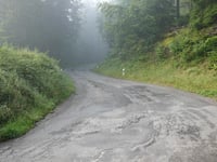 Maximiner Wald da Tobiashaus