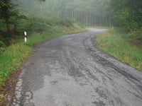 Maximiner Wald da Tobiashaus