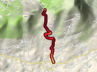 Meads Mountain Road von Woodstock