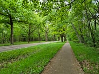 Mechels Bos via Steenweg naar As