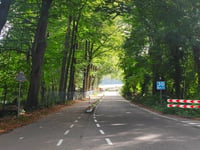 Meerwijkselaan von Heilig Landstichting