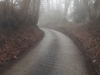Meesberg