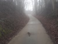 Meesberg