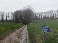 Meidries from Dutselhoek