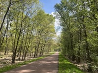 Meinweg from Herkenbosch
