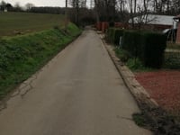Meistraat from Linden