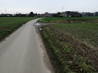 Meistraat from Linden