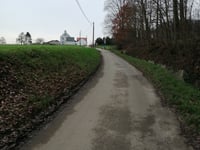 Meistraat from Linden