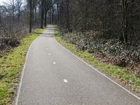Mengelenberg von Zeddam