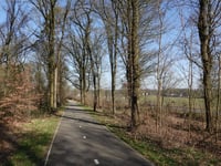 Mengelenberg von Zeddam