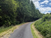Mengshäuser Kuppe z Mengshäusen
