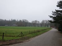 Menthenberg über Het Lage Erf