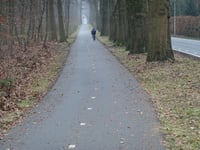 Menthenberg über Het Lage Erf