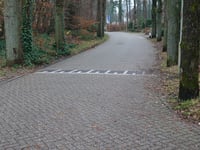 Menthenberg desde Schaarsbergen