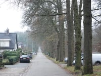 Menthenberg desde Schaarsbergen
