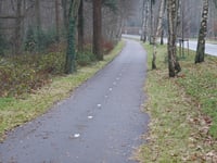 Menthenberg desde Schaarsbergen