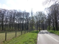 Menthenberg from Arnhem