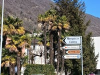 Mergoscia from Tenero