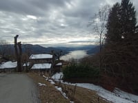 Mergugno von Brissago