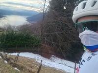 Mergugno von Brissago