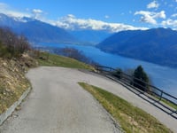 Mergugno von Brissago
