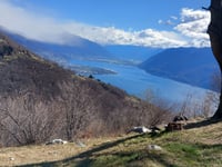 Mergugno von Brissago