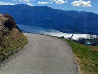 Mergugno von Brissago