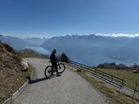 Mergugno von Brissago